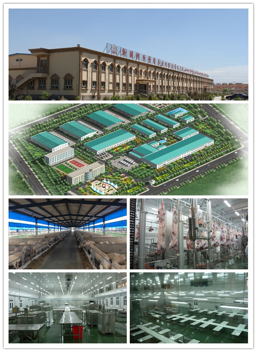 1488244386757015.jpg 新疆阿斯曼.jpg